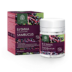 Бузина экстракт Вис капсулы 0,45г N30