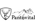 Pantovital