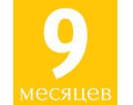 9 месяцев