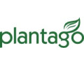 Plantago