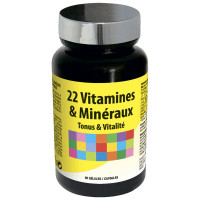 Nutri Expert 22 витамина и минерала капсулы N60