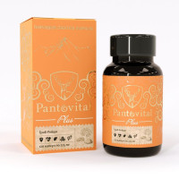 Пантовитал Плюс с грибом Рейши капсулы 225мг N120 банка
