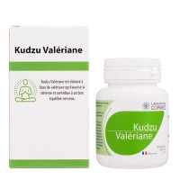 Copmed Kudzu Valeriane капсулы 346мг N90