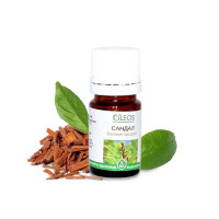 Масло Сандала эфирное 10 мл