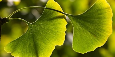 Не смешивайте свои лекарства с этими продуктами