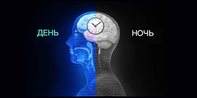 Мелатонин: Вот что вам нужно знать