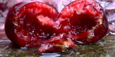 12 Опасных продуктов, которые есть у вас на кухне