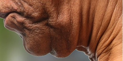 Странные вещи, которые происходят с вашей кожей с возрастом