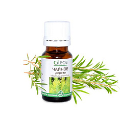 Масло Чайного дерева эфирное 10 мл