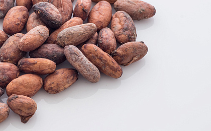 Польза и вред какао-порошок?