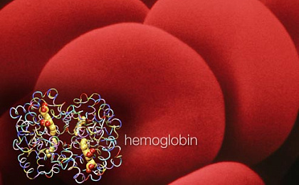 Руководство по анемии