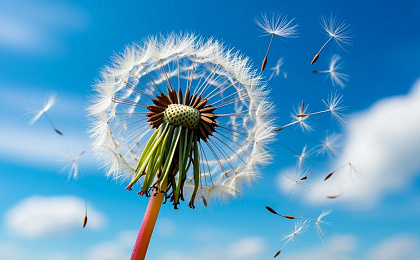 Поллиноз: причины, симптомы и методы лечения патологии