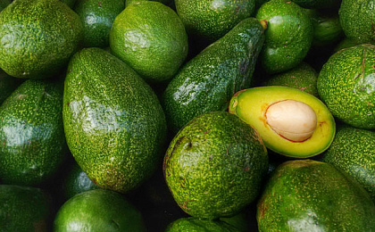 Влияние бактерий на качественный образ жизни