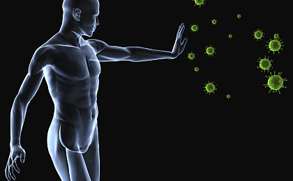 Подборка растительных средств для укрепления иммунитета