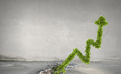 Эмоциональный интеллект, что это?