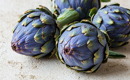 Влияние артишока на здоровье человека