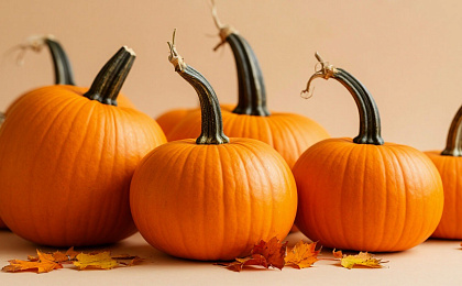 Польза тыквы для здоровья