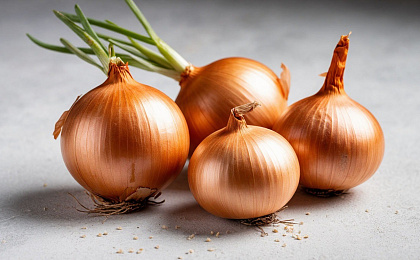 От семи недуг спасет лук!