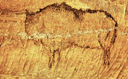 Что такое палеолитическая диета?