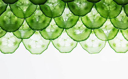 Руководство по облегчению проблем со зрением