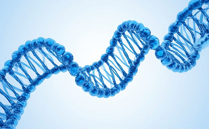 Абсолютная новинка в мире косметологии. Японский плацентарный препарат Лаеннек!