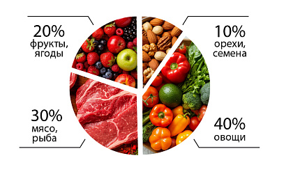 Что такое палеолитическая диета?