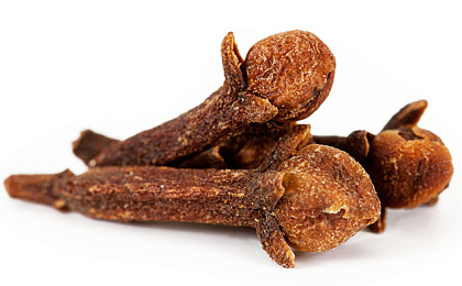 Что такое кишечные паразиты?