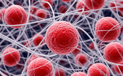 Тромбоз глубоких вен: причины, симптомы, лечение