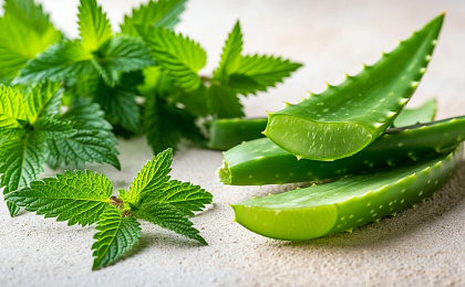 Травяные добавки, которые вам не стоит пробовать