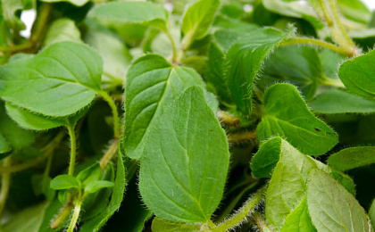 Боли в спине: причины и лечение