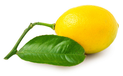 Причины появления и типы бородавок