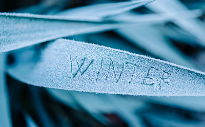 Что такое сезонное аффективное расстройство (САР)?