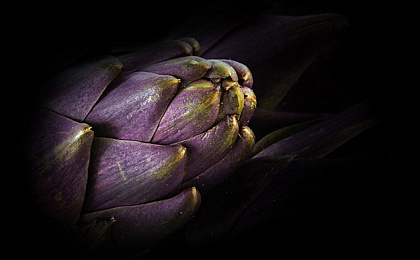 Влияние артишока на здоровье человека