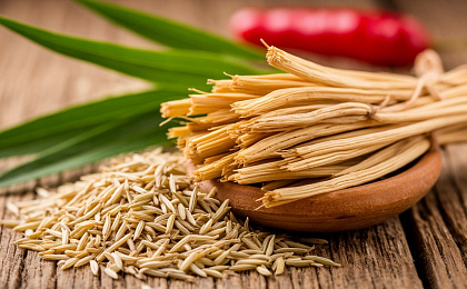 Шатавари от полового созревания до менопаузы