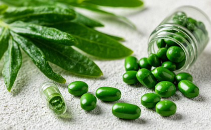 Хлорелла, польза и особенности