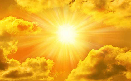 Витамин D и его роль в организме человека