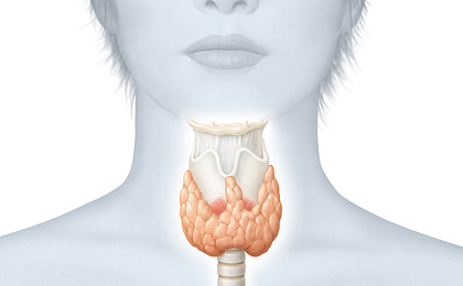 Заболевания щитовидной железы