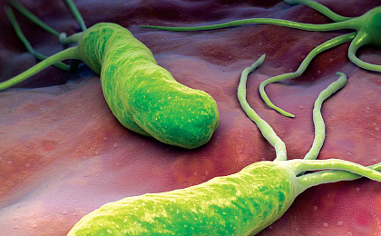 Хеликобактер пилори – главная опасность для желудка