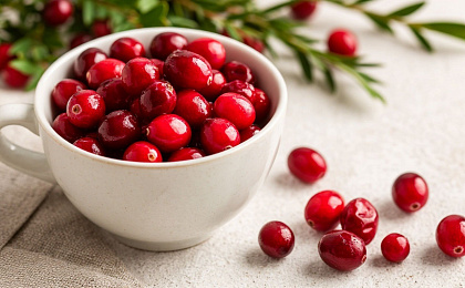 Брусника и ее свойства