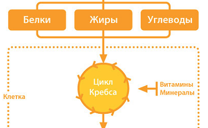 Как работает Супрадин?!
