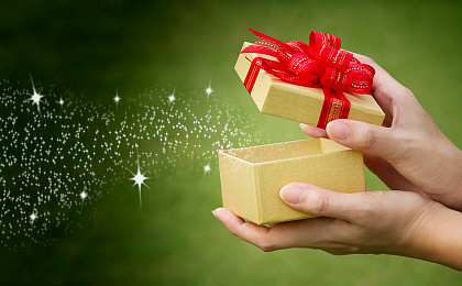 Финальный отчет за 2017 год