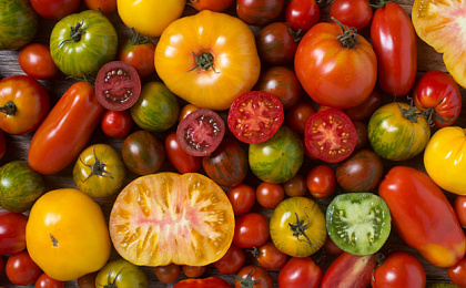 Ноотропы и их применение в повседневной жизни