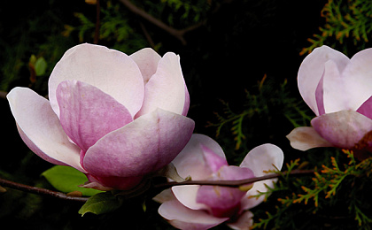 Постотпускной синдром